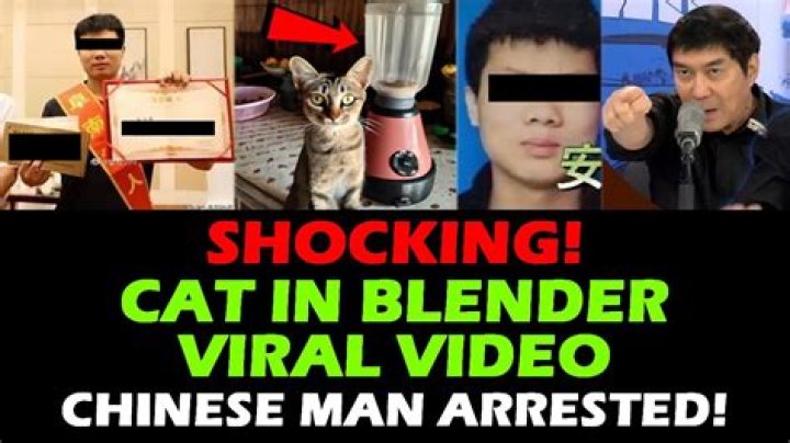 Insights into the "Guy Puts Cat in Blender" Arrest