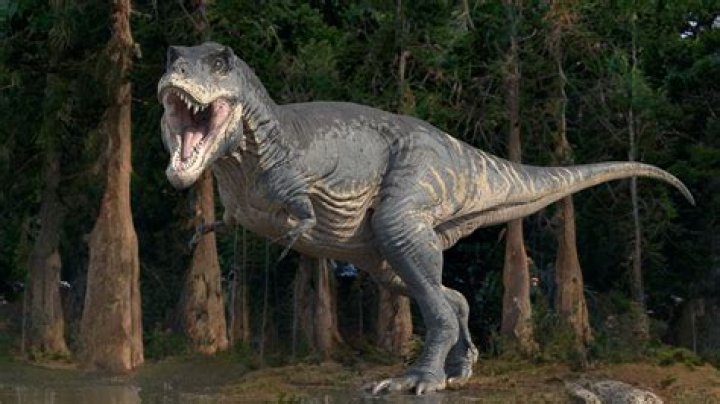 Uncover the Secrets of T-Rex Arms ADHD: Discoveries and Insights